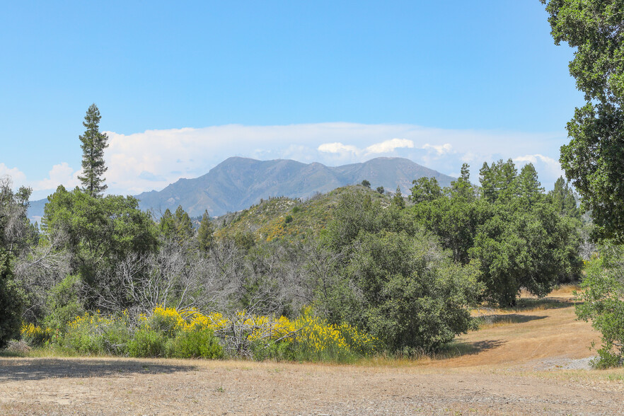 4100 Petrified Forest Rd, Calistoga, CA à vendre - Photo de l’immeuble – Image 3 sur 32