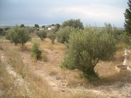Terrain dans Calasparra, Murcia à vendre - Plan de site – Image 1 sur 10