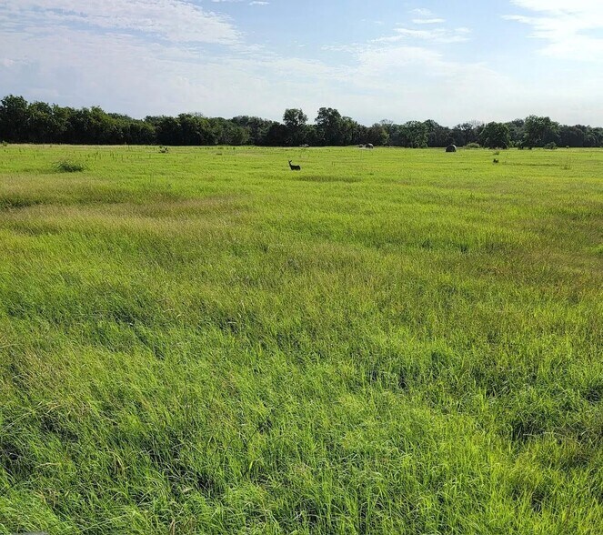 9931 Harmonson Rd, Northlake, TX à vendre - Photo de l’immeuble – Image 3 sur 6