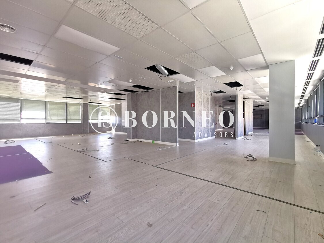 Calle Avenida Institución Libre de Enseñanza, 37, Madrid, Madrid à louer Photo intérieure– Image 1 sur 11