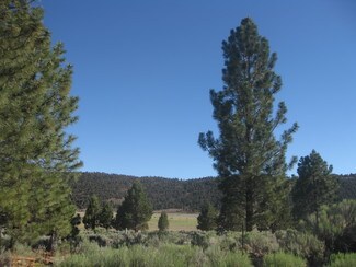 Plus de détails pour 2805 Cedar, Big Bear City, CA - Terrain à vendre