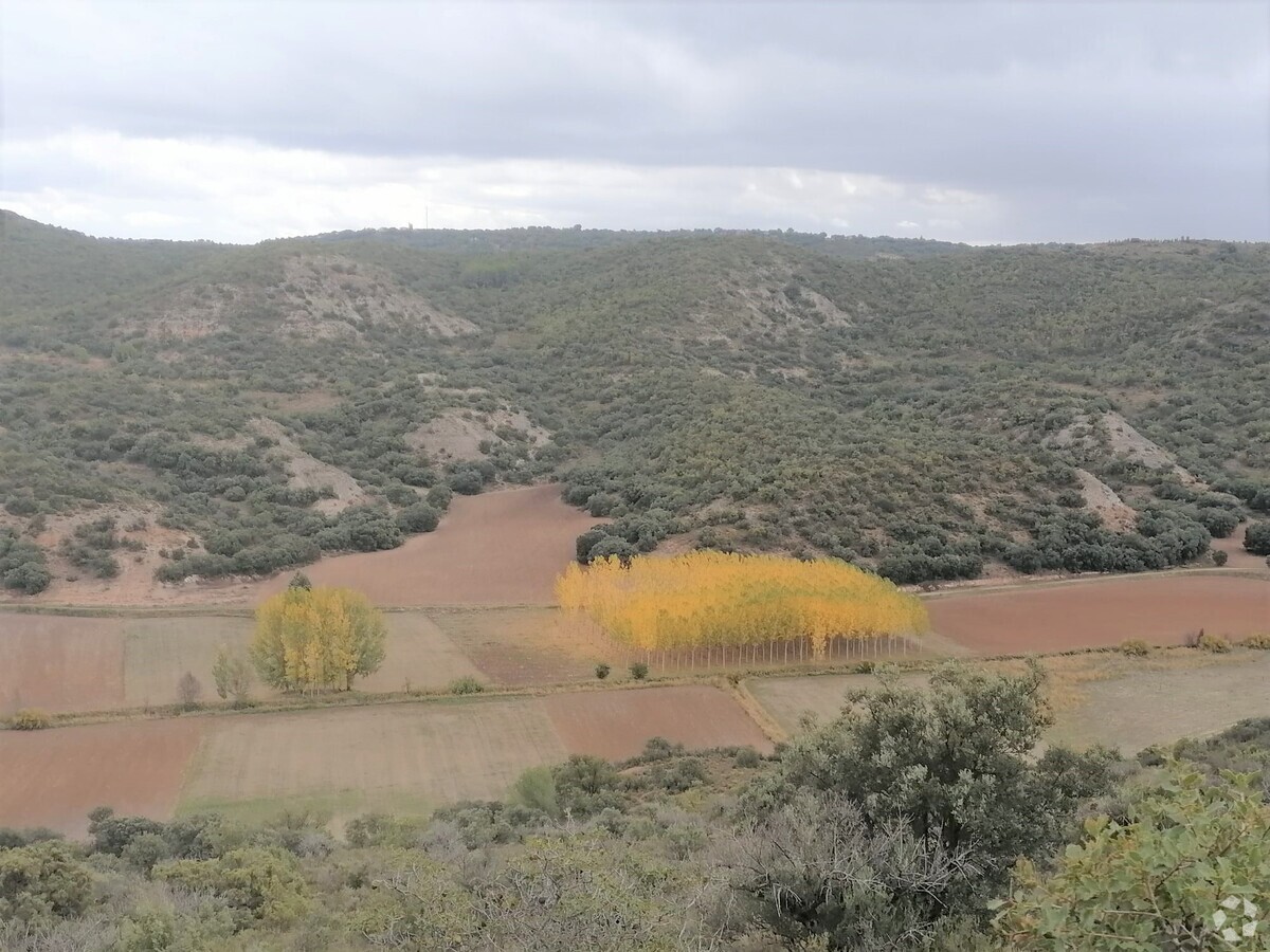 Photo principale