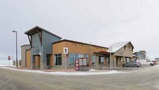 Plus de détails pour 320 West Creek Dr, Chestermere, AB - Local commercial à louer