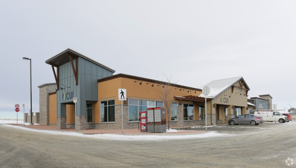 320 West Creek Dr, Chestermere, AB à louer - Photo principale – Image 1 sur 4