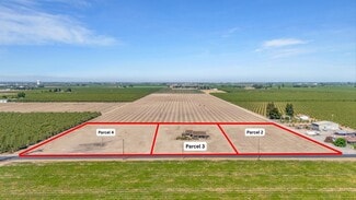 Plus de détails pour 20155 S Murphy Rd, Ripon, CA - Terrain à vendre
