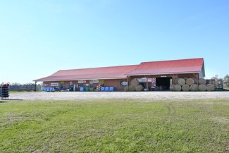 Plus de détails pour 4376 US Highway 84, Jakin, GA - Local commercial à vendre