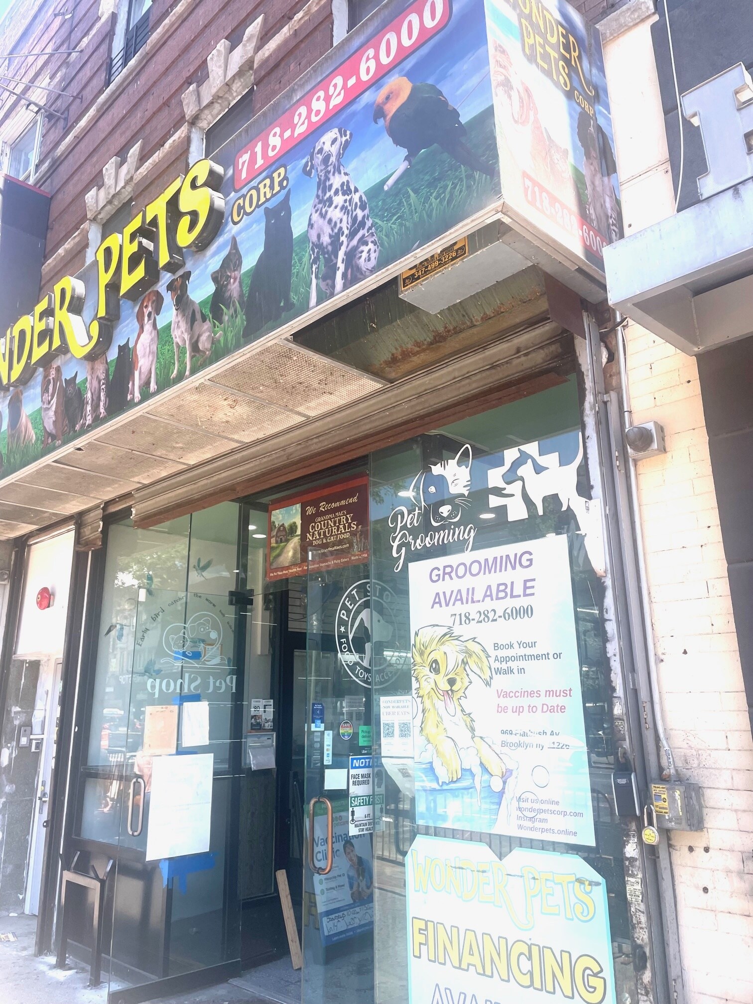 969 Flatbush Ave, Brooklyn, NY à louer Photo de l’immeuble– Image 1 sur 6