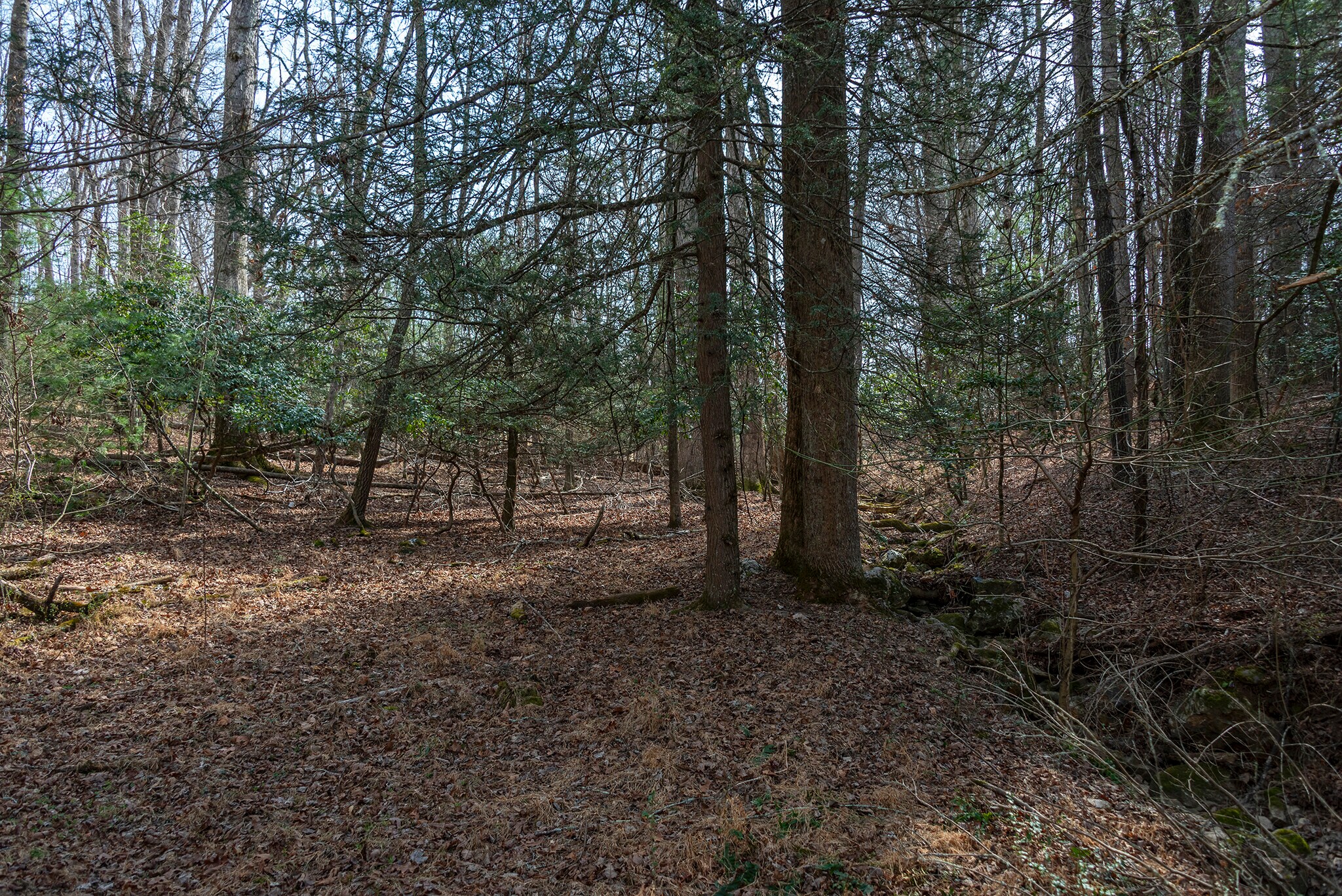 Ball Gap rd, Arden, NC à vendre Photo principale– Image 1 sur 3