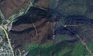 Plus de détails pour 0 Frozen Branch Road Rd, Cedar Grove, WV - Terrain à vendre