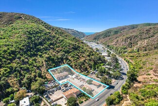 Plus de détails pour 2535 Laguna Canyon Rd, Laguna Beach, CA - Industriel/Logistique à vendre