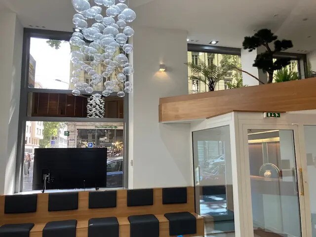52 Avenue Maréchal De Saxe, Lyon à louer - Hall d’entrée – Image 2 sur 30
