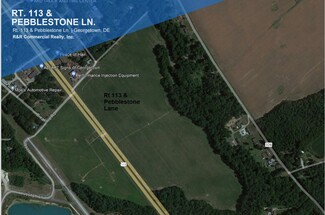 Plus de détails pour Rt. 113 Pebblestone Ln, Georgetown, DE - Terrain à vendre