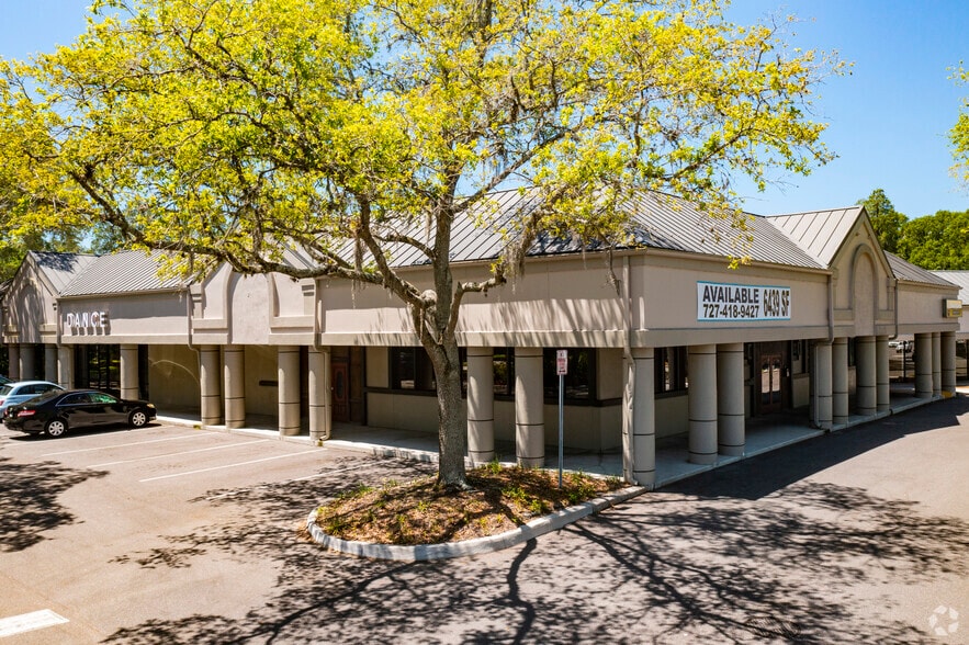 15305 Amberly Dr, Tampa, FL à louer - Photo de l’immeuble – Image 2 sur 50