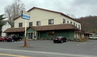 Plus de détails pour 6631 Route 191, Cresco, PA - Local commercial à vendre