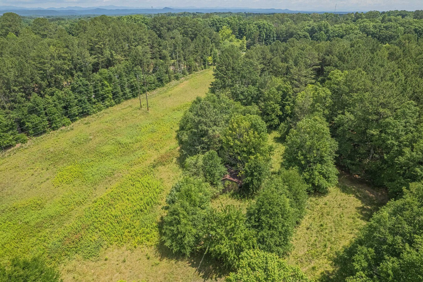 View Photo