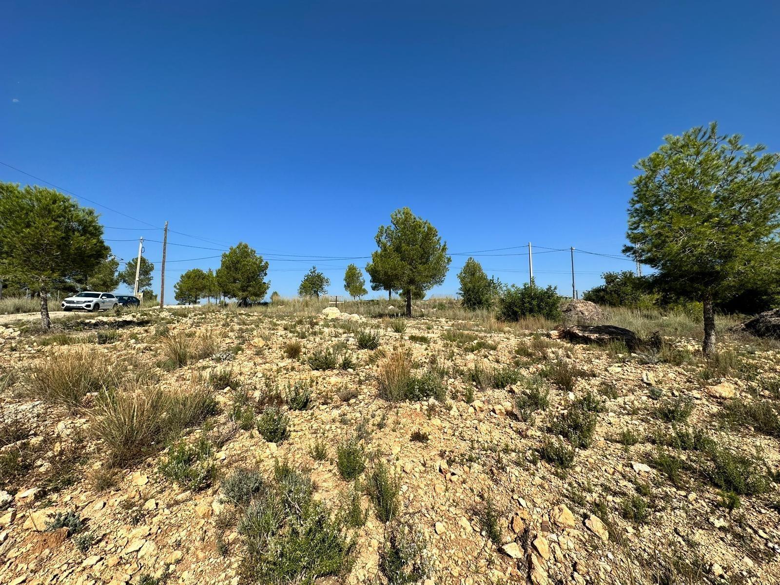 Terrain dans Catadau, Valencia à vendre Photo principale– Image 1 sur 12
