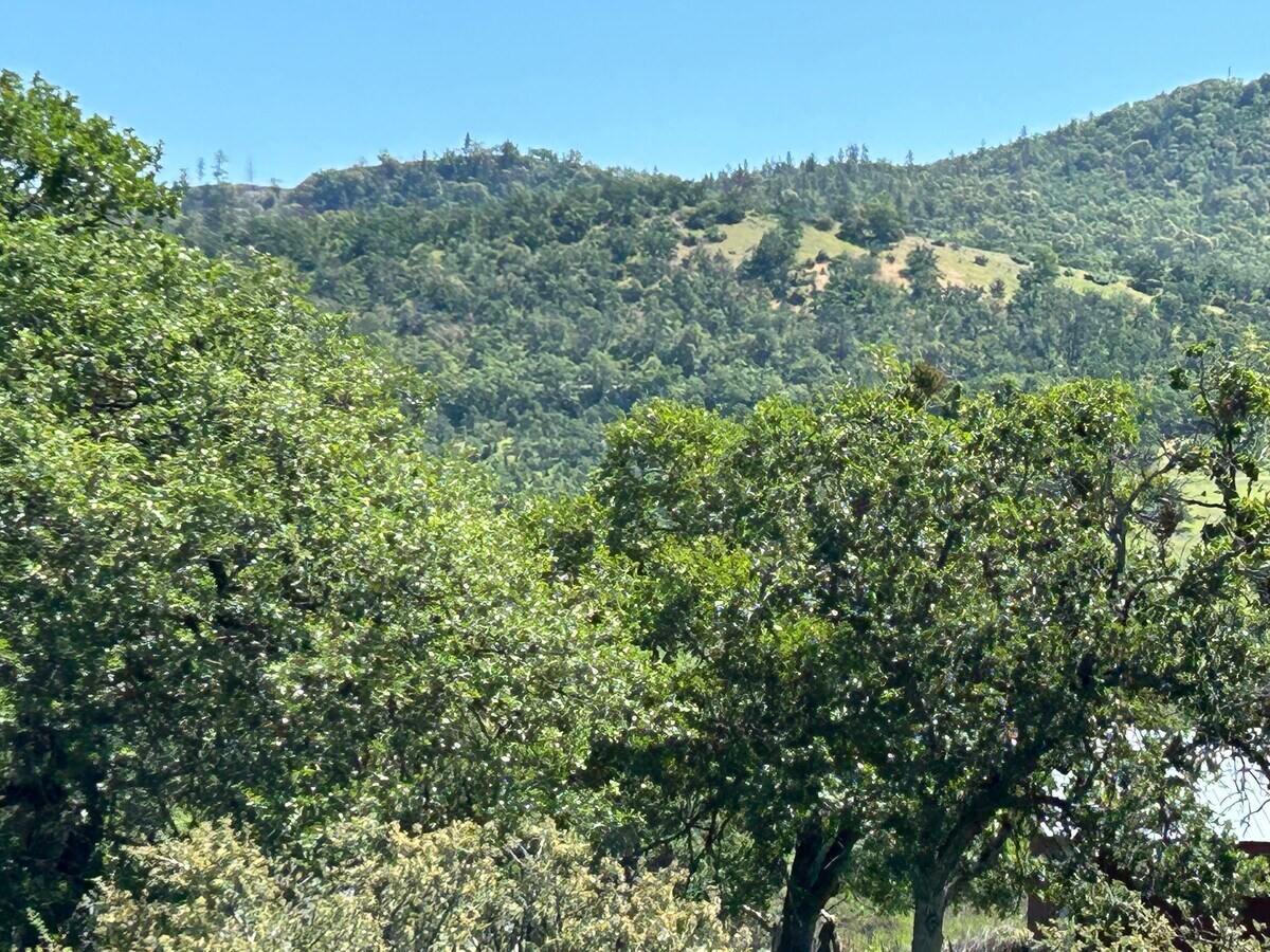 View Photo