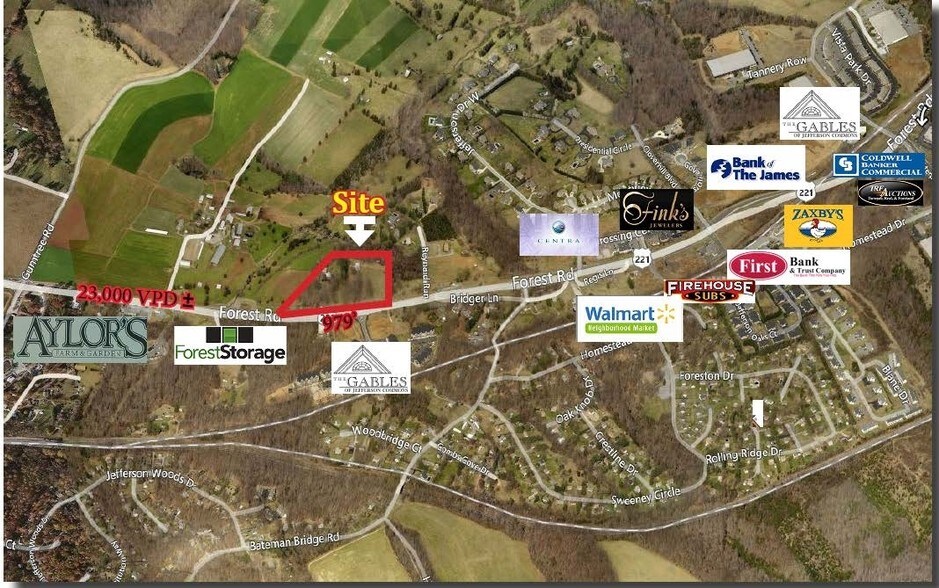 16380 Forest Rd, Forest, VA à vendre - Photo principale – Image 1 sur 100