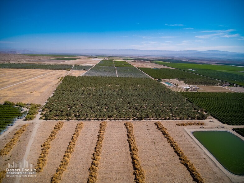 856.47 AC Organic Date Ranches portefeuille de 8 biens à vendre sur LoopNet.fr - Photo principale – Image 1 sur 25