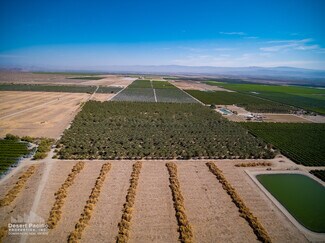 Plus de détails pour 856.47 AC Organic Date Ranches – Terrain à vendre
