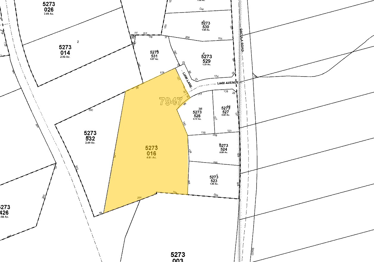 2300 Liam Ave, Dacula, GA à vendre Plan cadastral– Image 1 sur 7