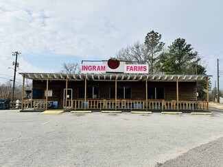 Plus de détails pour 4300 Highway 43 N, Northport, AL - Local commercial à vendre