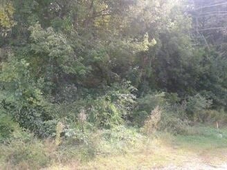 W Thompson Rd & Riverside Dr, Thompson, CT à vendre - Photo principale – Image 3 sur 4