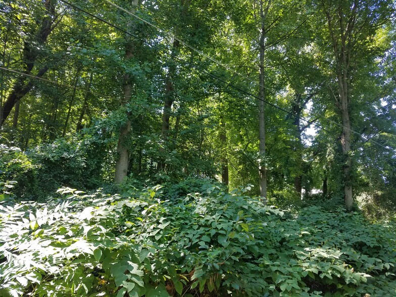 Old Palmer Road Rd, Fort Washington, MD à vendre - Photo principale – Image 2 sur 11