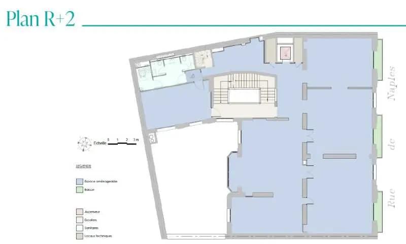 36 Rue De Naples, Paris à louer Plan d’étage– Image 1 sur 1