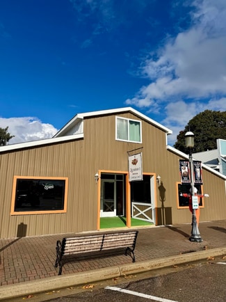 Plus de détails pour 207 E Central Ave, Mackinaw City, MI - Local commercial à louer