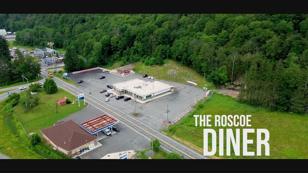 1908 Old Route 17, Roscoe, NY à vendre - Vidéo sur l’annonce professionnelle – Image 2 sur 75