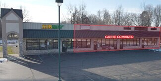 Plus de détails pour 750 E Grand River Rd, Laingsburg, MI - Local commercial à louer