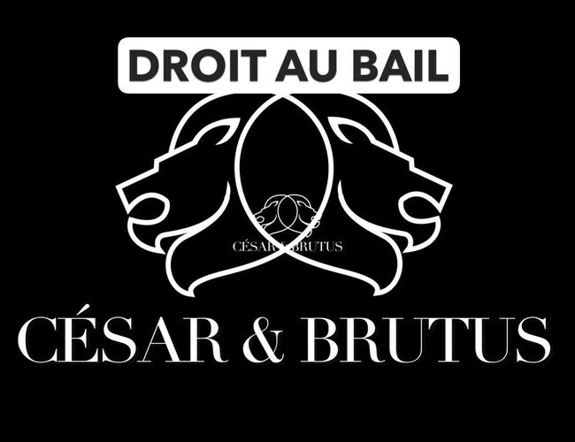 Plus de détails pour Local commercial à louer