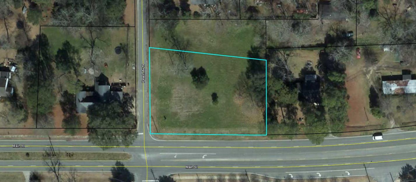 102 Peach N ave, Leesburg, GA à vendre Photo principale– Image 1 sur 16
