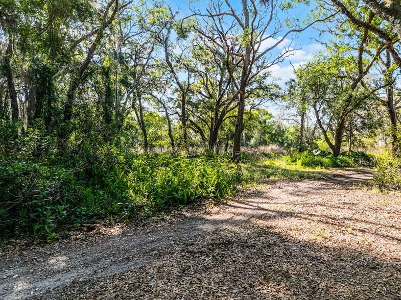 3633 Panther Path Rd, Lutz, FL à vendre - Photo de l’immeuble – Image 3 sur 23