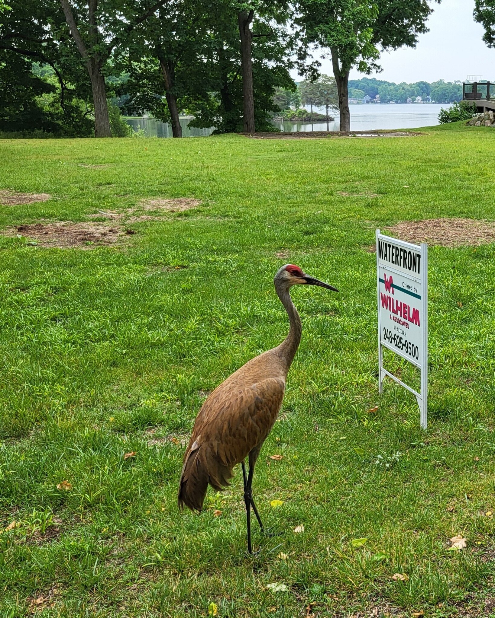 00 Blain Island Dr, Waterford, MI à vendre Photo de l’immeuble– Image 1 sur 11