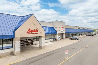 Plus de détails pour 153 W River Valley Dr, Newaygo, MI - Local commercial à louer