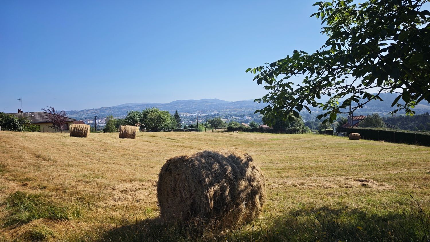 Lugar Pumarin, 50, Siero, Asturias à vendre Aérien– Image 1 sur 32