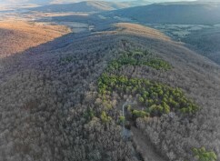 1150 Pleasant Grove Rd, Woodville, AL à vendre - Photo principale – Image 1 sur 1