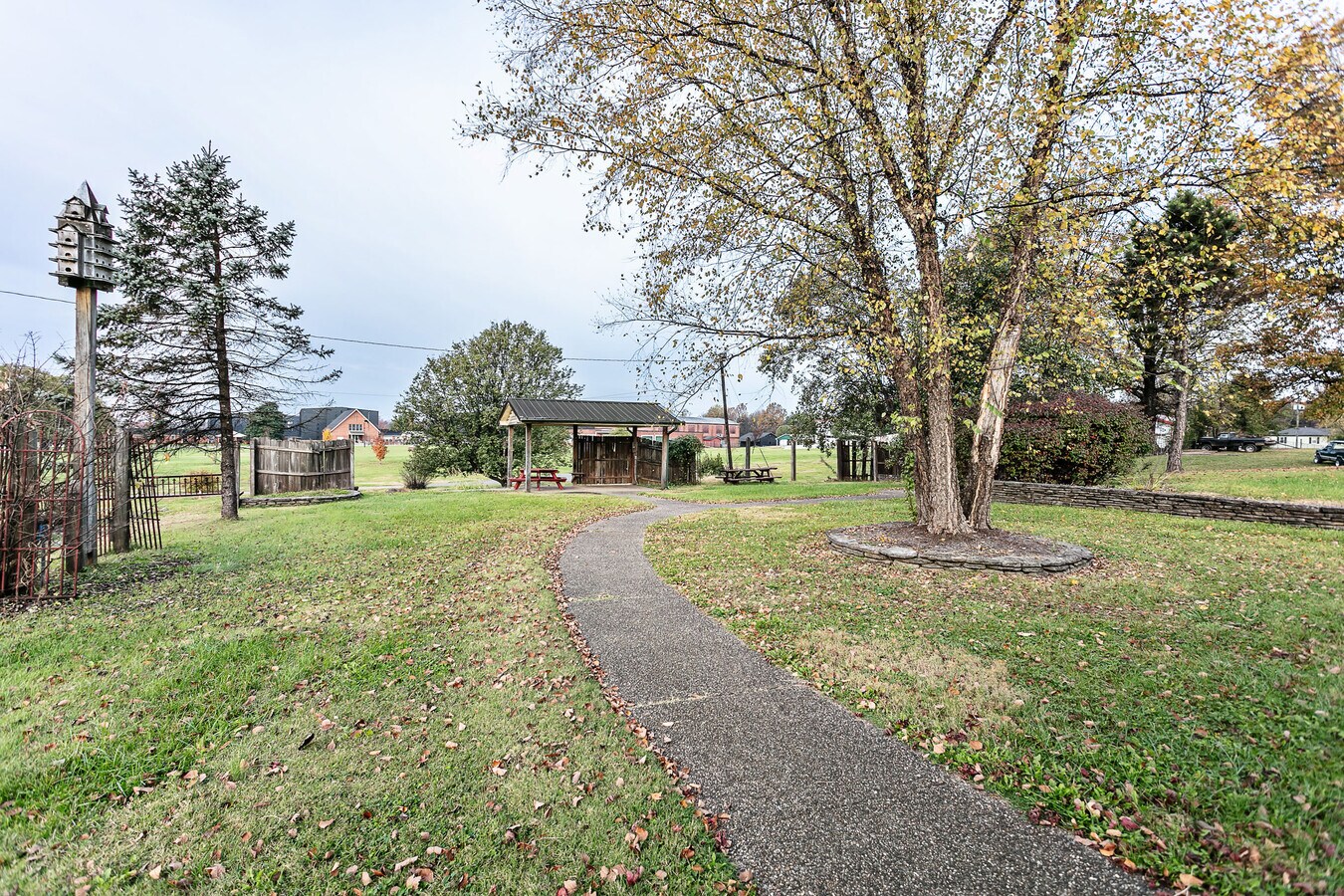 View Photo