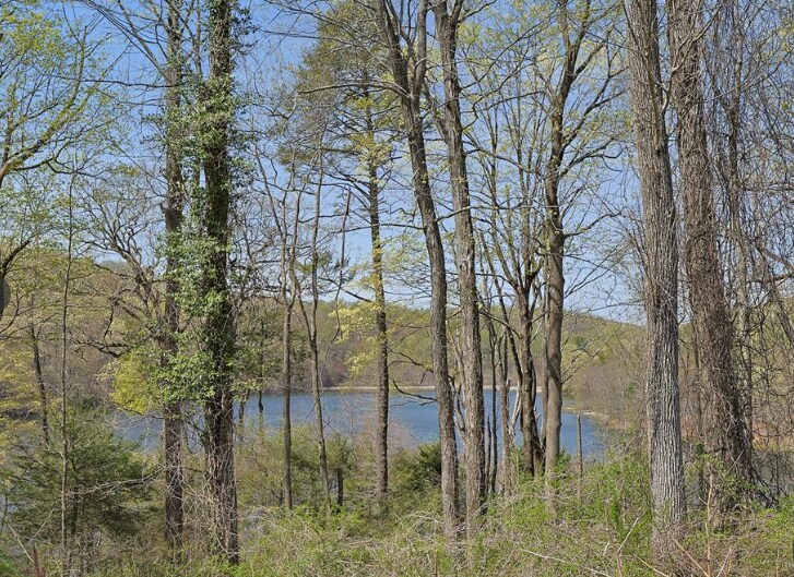 6 Wampus Lake Dr, Armonk, NY à vendre Autre– Image 1 sur 5
