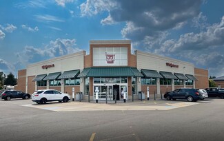 Plus de détails pour 21790 21 Mile Rd, Macomb Township, MI - Local commercial à vendre