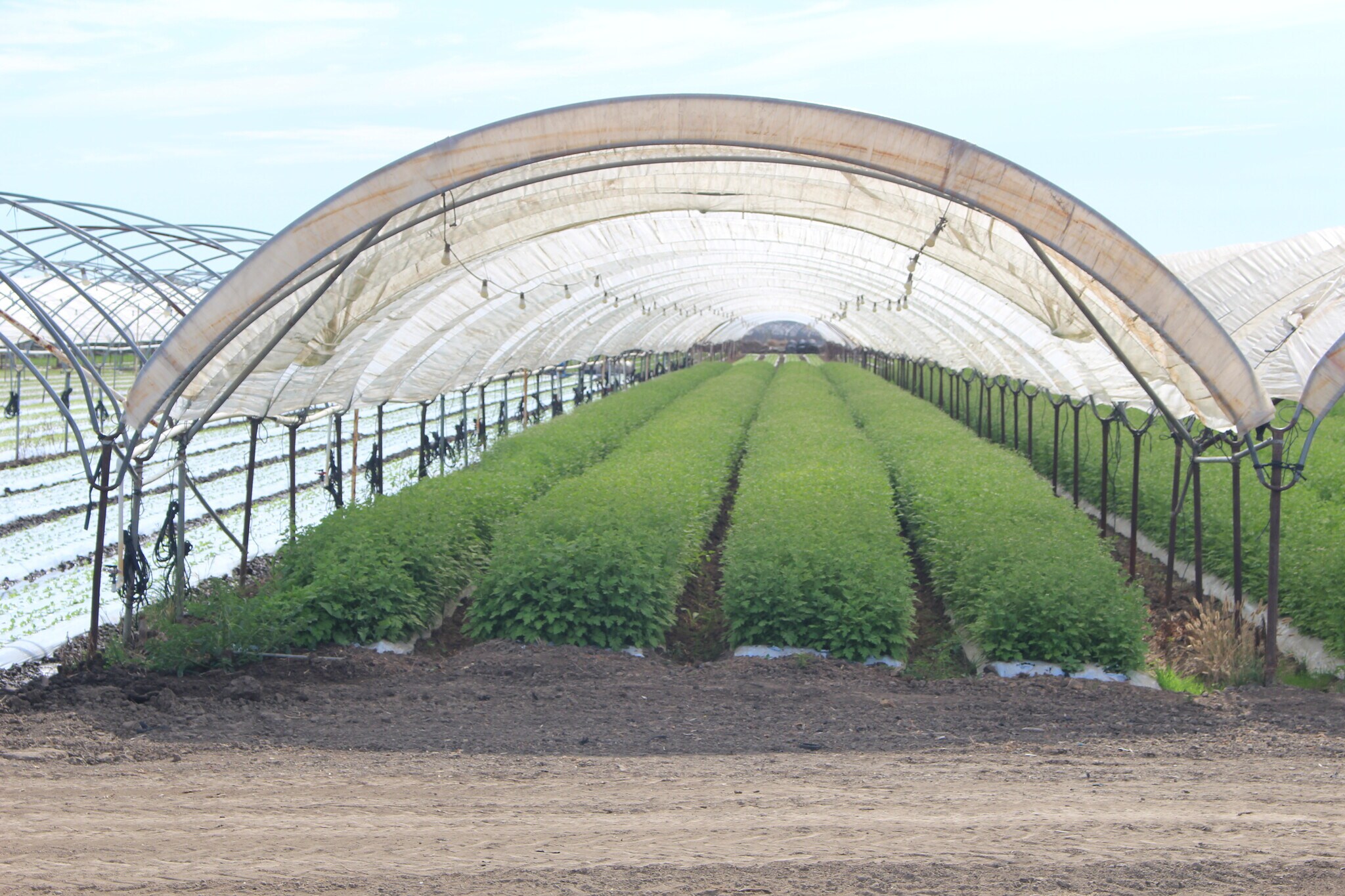 0 Wood Rd, Oxnard, CA à vendre Photo principale– Image 1 sur 9