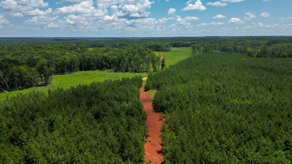Muckaway Rd, Abbeville, SC à vendre - Photo principale – Image 1 sur 12