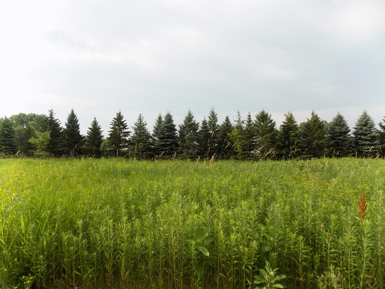 8X8 Meander Ct, Medina, MN à vendre - Photo de l’immeuble – Image 3 sur 5