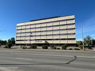 Plus de détails pour 949 E 36th Ave, Anchorage, AK - Bureau à louer
