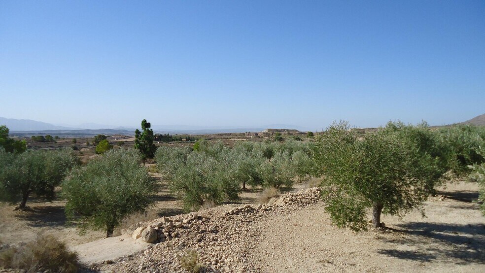 Terrain dans Abanilla, Murcia à vendre - Photo principale – Image 3 sur 18