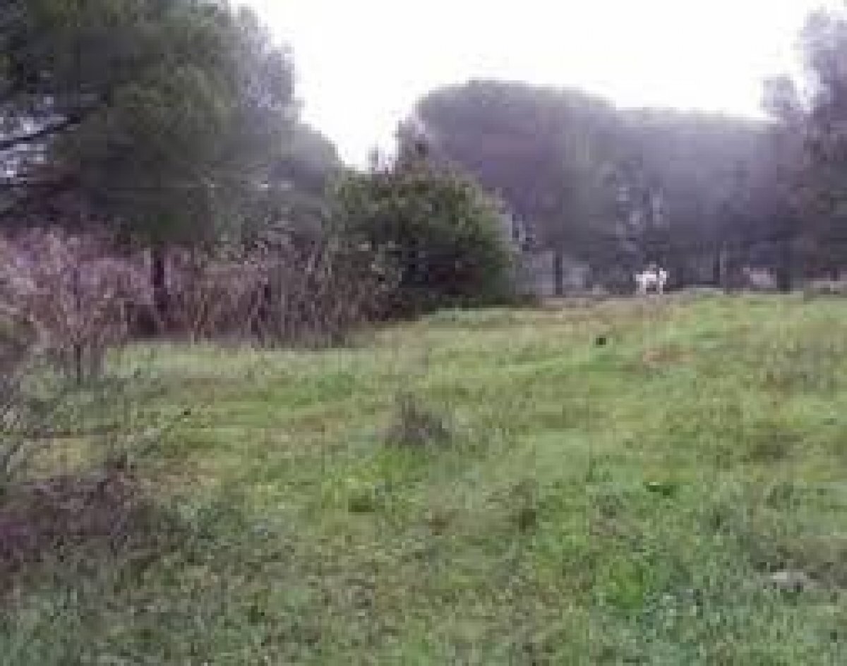 Terrain dans Córdoba, Córdoba à vendre Photo principale– Image 1 sur 4