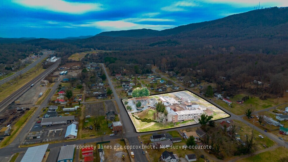 241 S Chamberlain Ave, Rockwood, TN à vendre - Photo principale – Image 1 sur 17
