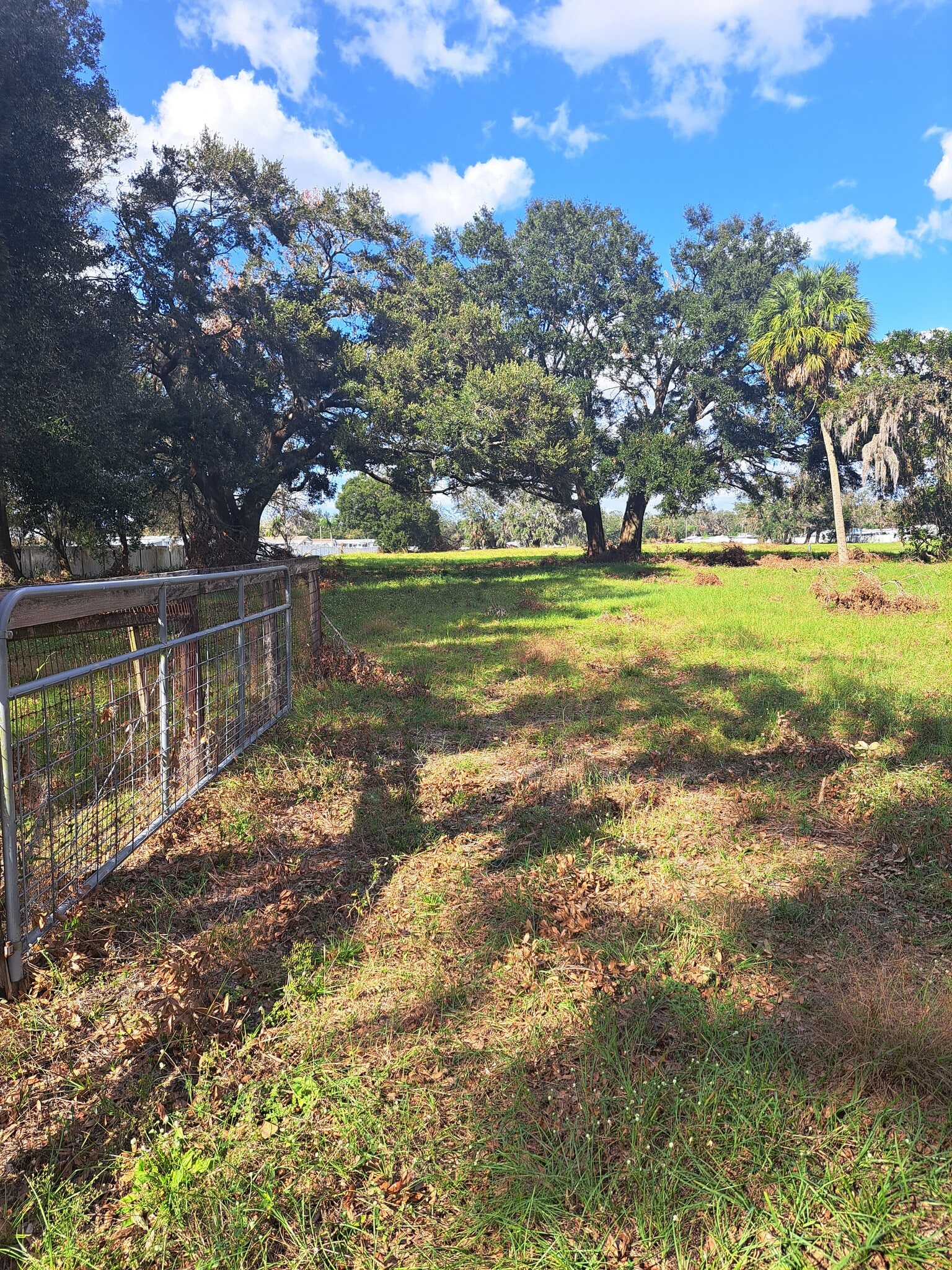 37435 Chancey Rd, Zephyrhills, FL à vendre Photo principale– Image 1 sur 4